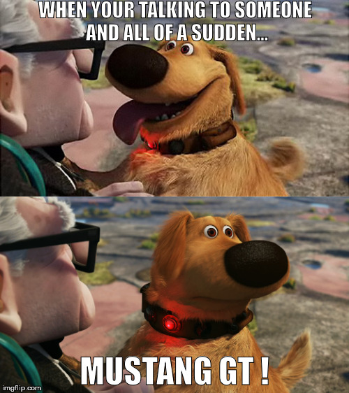 mustang gt | WHEN YOUR TALKING TO SOMEONE AND ALL OF A SUDDEN... MUSTANG GT ! | image tagged in mustang gt | made w/ Imgflip meme maker