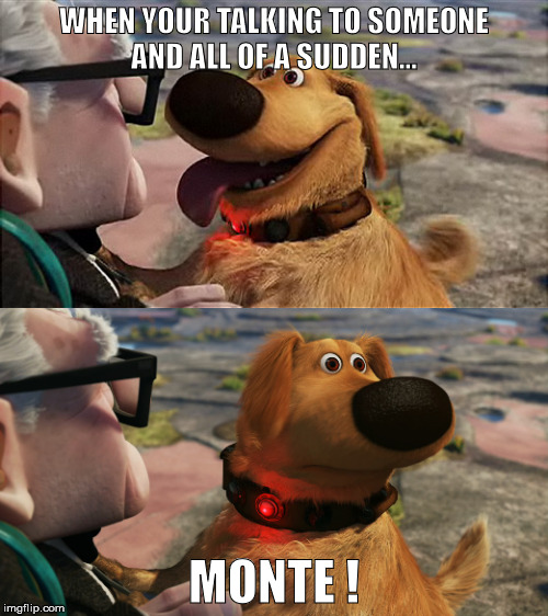 monte carlo car | WHEN YOUR TALKING TO SOMEONE AND ALL OF A SUDDEN... MONTE ! | image tagged in monte carlo car | made w/ Imgflip meme maker