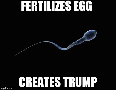 Bad Luck Sperm | FERTILIZES EGG; CREATES TRUMP | image tagged in bad luck sperm | made w/ Imgflip meme maker