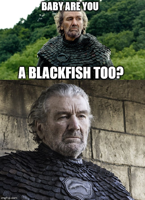 Riverrun This Game | BABY ARE YOU; A BLACKFISH TOO? | image tagged in blackfish on blackfish violence,game of thrones,goddamnit | made w/ Imgflip meme maker