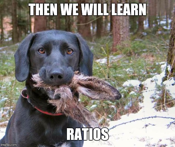 THEN WE WILL LEARN RATIOS | made w/ Imgflip meme maker