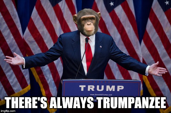 Trump Bruh | THERE'S ALWAYS TRUMPANZEE | image tagged in trump bruh | made w/ Imgflip meme maker