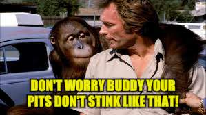 DON'T WORRY BUDDY YOUR PITS DON'T STINK LIKE THAT! | made w/ Imgflip meme maker