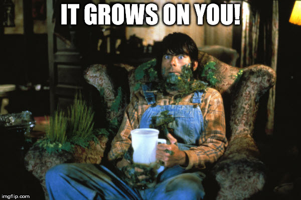 It grows on you! |  IT GROWS ON YOU! | image tagged in grow,it grows on you | made w/ Imgflip meme maker