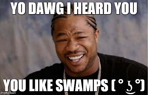 Yo Dawg Heard You | YO DAWG I HEARD YOU; YOU LIKE SWAMPS ( ° ͜ʖ °) | image tagged in memes,yo dawg heard you | made w/ Imgflip meme maker