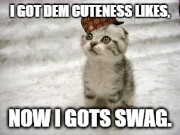 Sad Cat | I GOT DEM CUTENESS LIKES, NOW I GOTS SWAG. | image tagged in memes,sad cat,scumbag | made w/ Imgflip meme maker