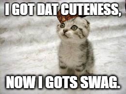 Sad Cat Meme | I GOT DAT CUTENESS, NOW I GOTS SWAG. | image tagged in memes,sad cat,scumbag | made w/ Imgflip meme maker