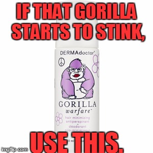 IF THAT GORILLA STARTS TO STINK, USE THIS. | made w/ Imgflip meme maker