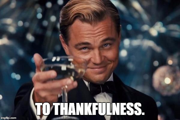 Leonardo Dicaprio Cheers Meme | TO THANKFULNESS. | image tagged in memes,leonardo dicaprio cheers | made w/ Imgflip meme maker