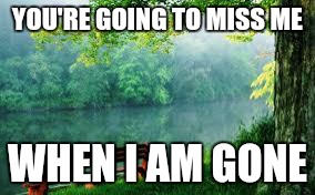 Nature | YOU'RE GOING TO MISS ME; WHEN I AM GONE | image tagged in nature | made w/ Imgflip meme maker