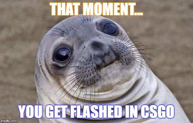 Awkward Moment Sealion | THAT MOMENT... YOU GET FLASHED IN CSGO | image tagged in memes,awkward moment sealion | made w/ Imgflip meme maker