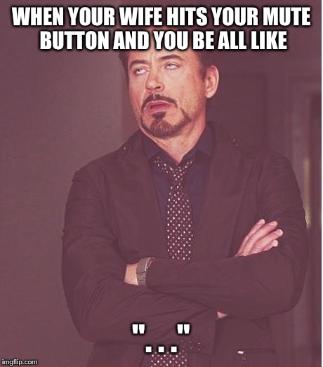 Face You Make Robert Downey Jr Meme | WHEN YOUR WIFE HITS YOUR MUTE BUTTON AND YOU BE ALL LIKE ". . ." | image tagged in memes,face you make robert downey jr | made w/ Imgflip meme maker