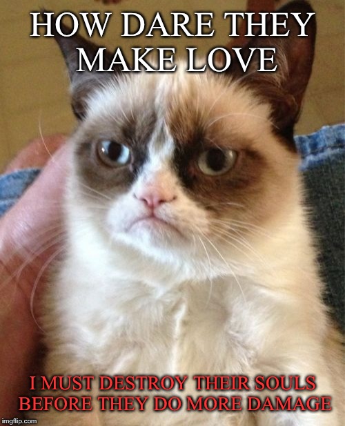Grumpy Cat Meme | HOW DARE THEY MAKE LOVE I MUST DESTROY THEIR SOULS BEFORE THEY DO MORE DAMAGE | image tagged in memes,grumpy cat | made w/ Imgflip meme maker