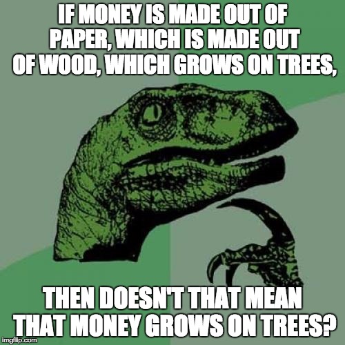 Philosoraptor | IF MONEY IS MADE OUT OF PAPER, WHICH IS MADE OUT OF WOOD, WHICH GROWS ON TREES, THEN DOESN'T THAT MEAN THAT MONEY GROWS ON TREES? | image tagged in memes,philosoraptor | made w/ Imgflip meme maker