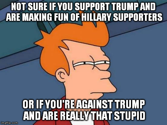 Futurama Fry Meme | NOT SURE IF YOU SUPPORT TRUMP AND ARE MAKING FUN OF HILLARY SUPPORTERS OR IF YOU'RE AGAINST TRUMP AND ARE REALLY THAT STUPID | image tagged in memes,futurama fry | made w/ Imgflip meme maker