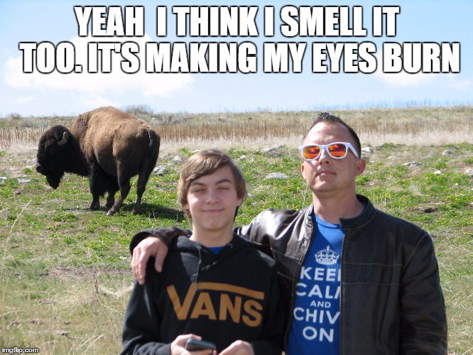 YEAH  I THINK I SMELL IT TOO.
IT'S MAKING MY EYES BURN | image tagged in stink,buffalo,bison,cool,kai | made w/ Imgflip meme maker