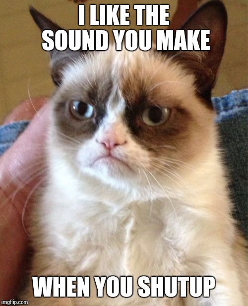 Grumpy Cat Meme | I LIKE THE SOUND YOU MAKE; WHEN YOU SHUTUP | image tagged in memes,grumpy cat | made w/ Imgflip meme maker