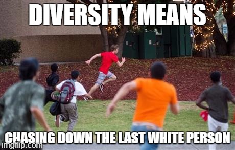 DIVERSITY MEANS; CHASING DOWN THE LAST WHITE PERSON | made w/ Imgflip meme maker