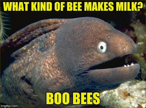 Bad Joke Eel | WHAT KIND OF BEE MAKES MILK? BOO BEES | image tagged in memes,bad joke eel | made w/ Imgflip meme maker