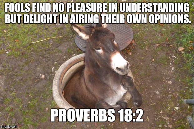 Asshole | FOOLS FIND NO PLEASURE IN UNDERSTANDING BUT DELIGHT IN AIRING THEIR OWN OPINIONS. PROVERBS 18:2 | image tagged in asshole | made w/ Imgflip meme maker