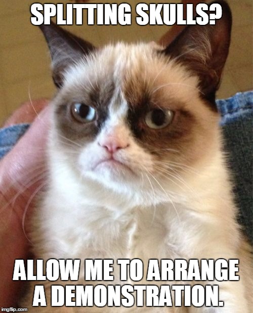 Grumpy Cat Meme | SPLITTING SKULLS? ALLOW ME TO ARRANGE A DEMONSTRATION. | image tagged in memes,grumpy cat | made w/ Imgflip meme maker