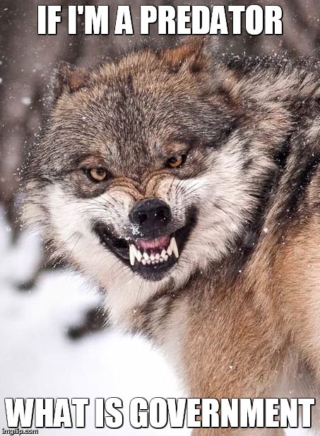 Angry Wolf | IF I'M A PREDATOR; WHAT IS GOVERNMENT | image tagged in angry wolf | made w/ Imgflip meme maker