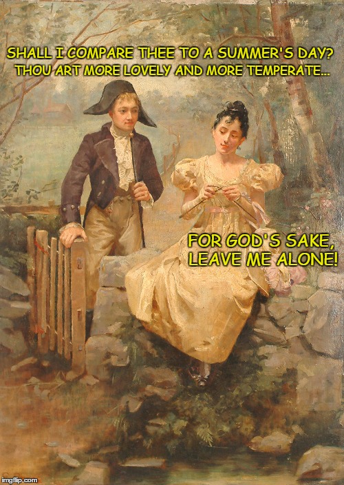Sonnet 18 | THOU ART MORE LOVELY AND MORE TEMPERATE... SHALL I COMPARE THEE TO A SUMMER'S DAY? FOR GOD'S SAKE, LEAVE ME ALONE! | image tagged in meme | made w/ Imgflip meme maker