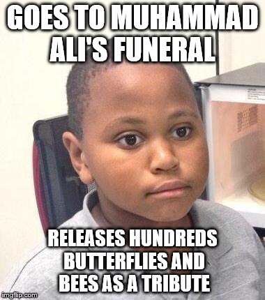 Don't worry - only Bad Luck Brian got stung... | GOES TO MUHAMMAD ALI'S FUNERAL; RELEASES HUNDREDS BUTTERFLIES AND BEES AS A TRIBUTE | image tagged in memes,minor mistake marvin,muhammad ali | made w/ Imgflip meme maker