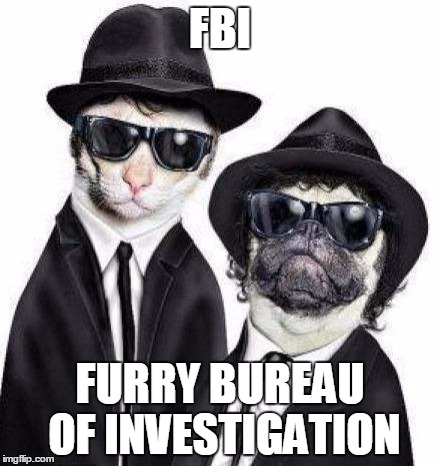 Blues Brothers Animals | FBI; FURRY BUREAU OF INVESTIGATION | image tagged in blues brothers animals | made w/ Imgflip meme maker