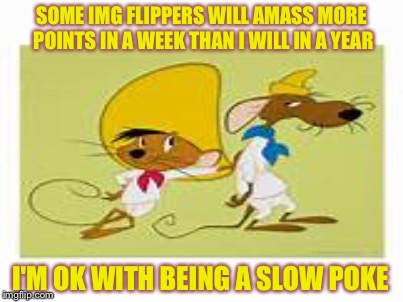 Stop and smell the roses... Then the peonies.... Impatients.... Petunias..... Magnolias... Lilac..................... | SOME IMG FLIPPERS WILL AMASS MORE POINTS IN A WEEK THAN I WILL IN A YEAR; I'M OK WITH BEING A SLOW POKE | image tagged in memes | made w/ Imgflip meme maker