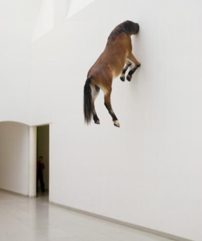 Horse in wall Blank Meme Template