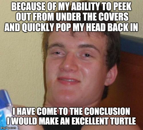 10 Guy Meme | BECAUSE OF MY ABILITY TO PEEK OUT FROM UNDER THE COVERS AND QUICKLY POP MY HEAD BACK IN; I HAVE COME TO THE CONCLUSION I WOULD MAKE AN EXCELLENT TURTLE | image tagged in memes,10 guy | made w/ Imgflip meme maker