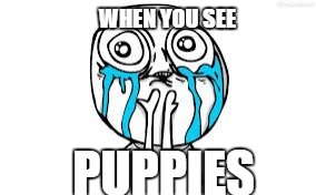 Crying Because Of Cute | WHEN YOU SEE; PUPPIES | image tagged in memes,crying because of cute | made w/ Imgflip meme maker