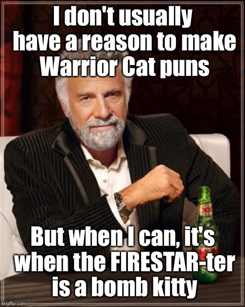 The Most Interesting Man In The World Meme | I don't usually have a reason to make Warrior Cat puns But when I can, it's when the FIRESTAR-ter is a bomb kitty | image tagged in memes,the most interesting man in the world | made w/ Imgflip meme maker