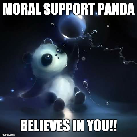 MORAL SUPPORT PANDA; BELIEVES IN YOU!! | image tagged in panda | made w/ Imgflip meme maker