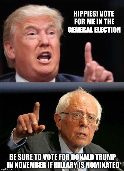 HIPPIES! VOTE FOR ME IN THE GENERAL ELECTION BE SURE TO VOTE FOR DONALD TRUMP IN NOVEMBER IF HILLARY IS NOMINATED | made w/ Imgflip meme maker