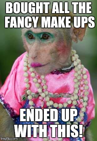 Fake bitch | BOUGHT ALL THE FANCY MAKE UPS; ENDED UP WITH THIS! | image tagged in fake bitch | made w/ Imgflip meme maker