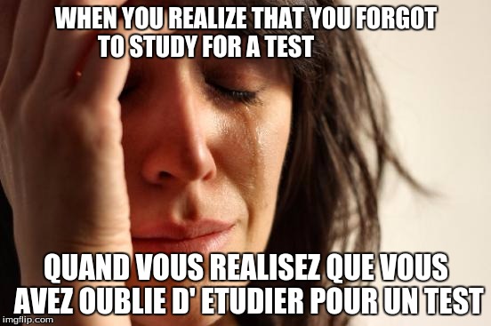 First World Problems | WHEN YOU REALIZE THAT YOU FORGOT TO STUDY FOR A TEST; QUAND VOUS REALISEZ QUE VOUS AVEZ OUBLIE D' ETUDIER POUR UN TEST | image tagged in memes,first world problems | made w/ Imgflip meme maker