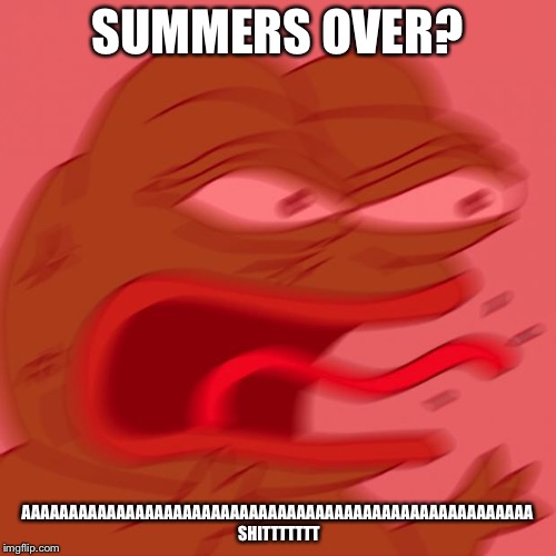 its whats goin on in my head | SUMMERS OVER? AAAAAAAAAAAAAAAAAAAAAAAAAAAAAAAAAAAAAAAAAAAAAAAAAAAAAA SHITTTTTTT | image tagged in pepe,mad | made w/ Imgflip meme maker