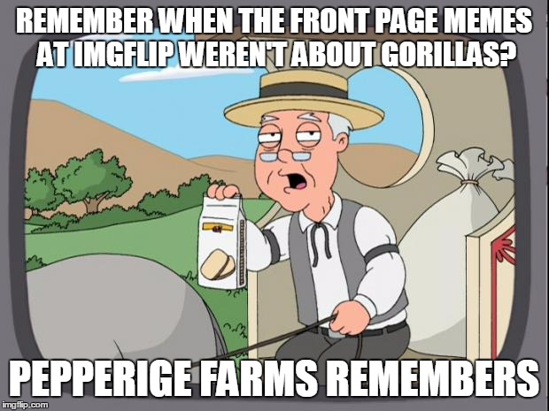 pepperige farms remembers | REMEMBER WHEN THE FRONT PAGE MEMES AT IMGFLIP WEREN'T ABOUT GORILLAS? PEPPERIGE FARMS REMEMBERS | image tagged in pepperige farms remembers | made w/ Imgflip meme maker
