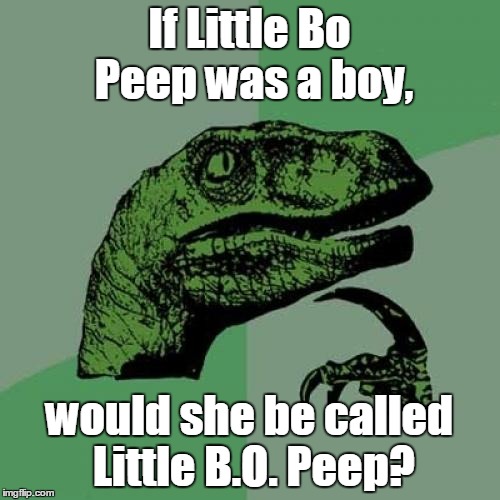 Philosoraptor Meme | If Little Bo Peep was a boy, would she be called Little B.O. Peep? | image tagged in memes,philosoraptor | made w/ Imgflip meme maker