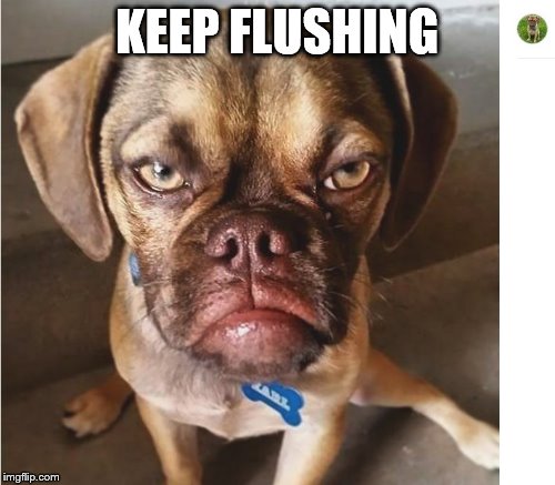KEEP FLUSHING | made w/ Imgflip meme maker