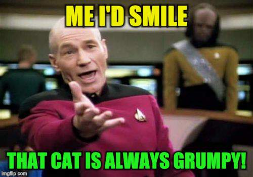 Picard Wtf Meme | ME I'D SMILE THAT CAT IS ALWAYS GRUMPY! | image tagged in memes,picard wtf | made w/ Imgflip meme maker
