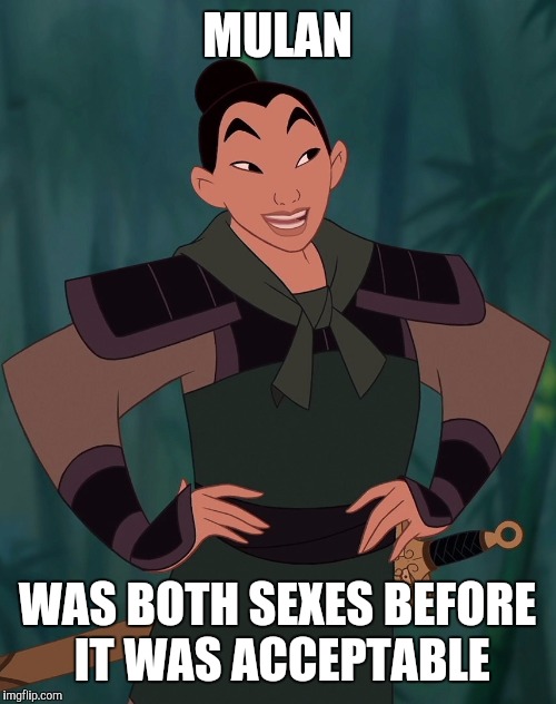 Mulan |  MULAN; WAS BOTH SEXES BEFORE IT WAS ACCEPTABLE | image tagged in target | made w/ Imgflip meme maker