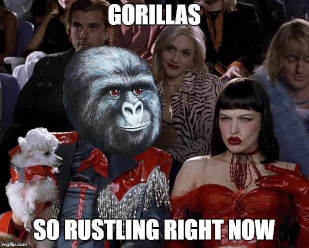 Well that rustled quickly... | GORILLAS; SO RUSTLING RIGHT NOW | image tagged in memes,mugatu so hot right now,gorilla,imgflip,rustle my jimmies | made w/ Imgflip meme maker