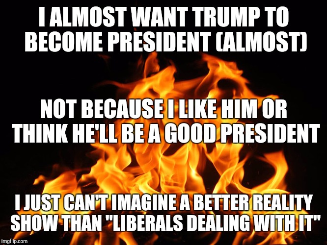 Flames | I ALMOST WANT TRUMP TO BECOME PRESIDENT (ALMOST); NOT BECAUSE I LIKE HIM OR THINK HE'LL BE A GOOD PRESIDENT; I JUST CAN'T IMAGINE A BETTER REALITY SHOW THAN "LIBERALS DEALING WITH IT" | image tagged in flames | made w/ Imgflip meme maker