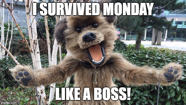 I survived Monday | I SURVIVED MONDAY; LIKE A BOSS! | image tagged in happydog,survivor,monday | made w/ Imgflip meme maker