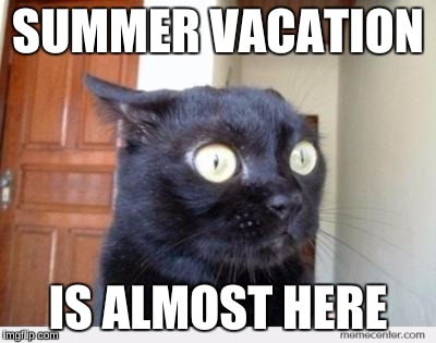 Scared Cat | SUMMER VACATION; IS ALMOST HERE | image tagged in scared cat | made w/ Imgflip meme maker