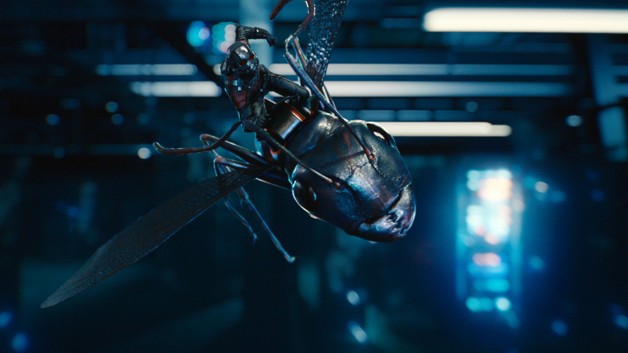 High Quality Ant-Man and Antony Blank Meme Template