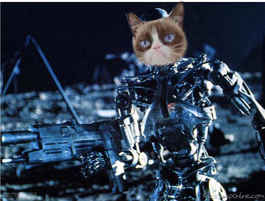 grump cat terminator Blank Meme Template